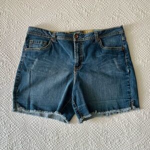 Denim Blue Women's Shorts